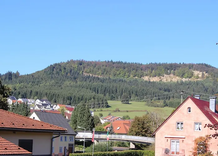 מלון Heuberger Hof, Wehingen